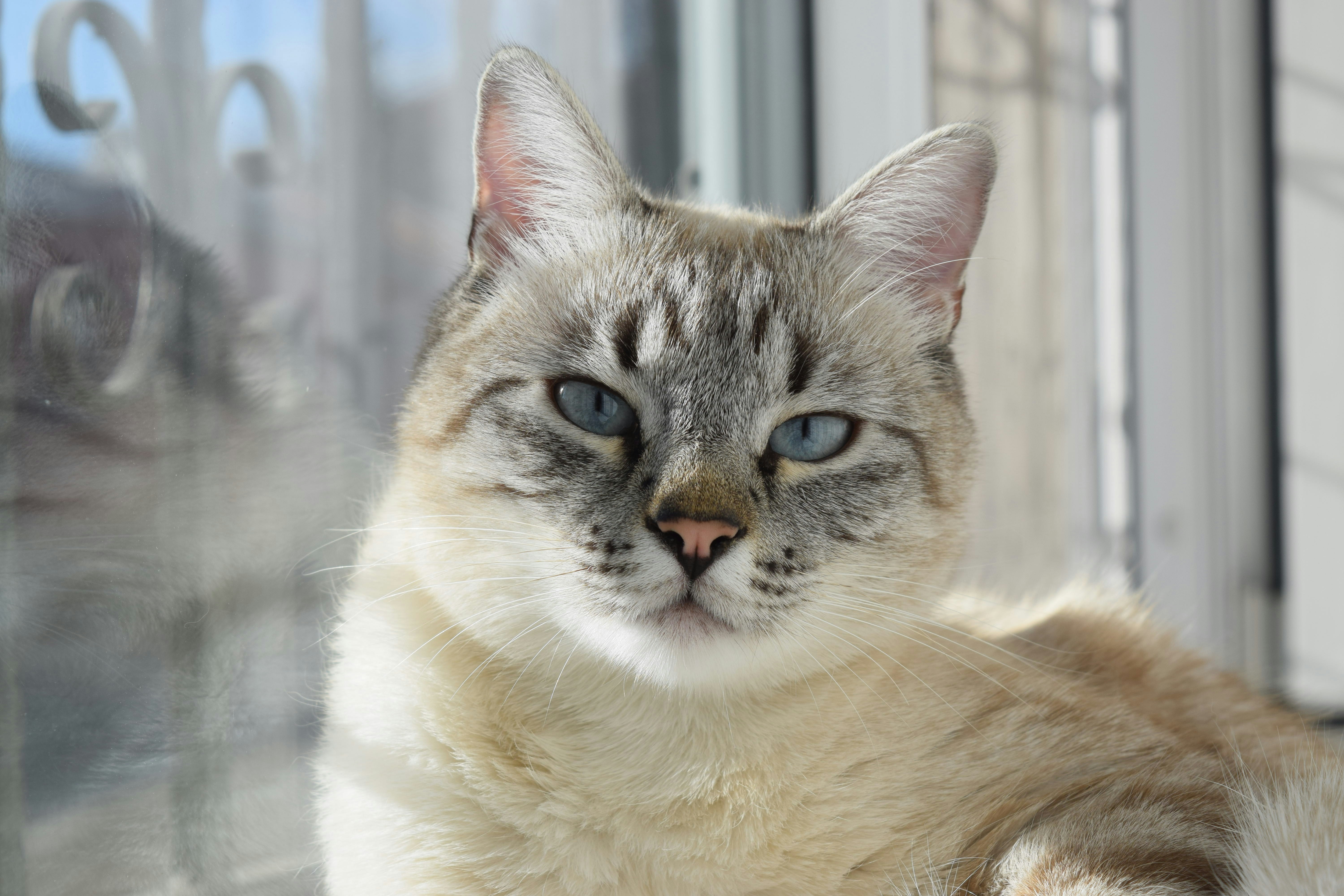 Aufbau Seminar Tiere